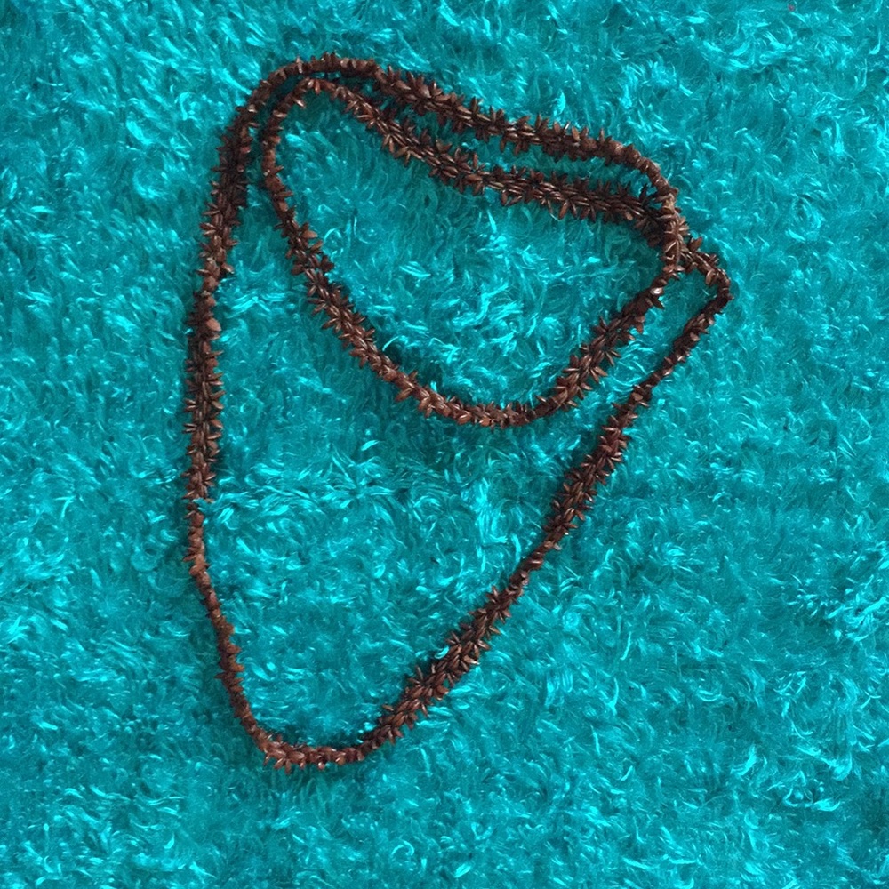 Brown seedy boho princess wood necklace